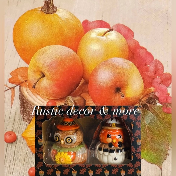 Johanna Parker Turkey and Owl Salt and Pepper Shaker Set - Picture 3 of 3